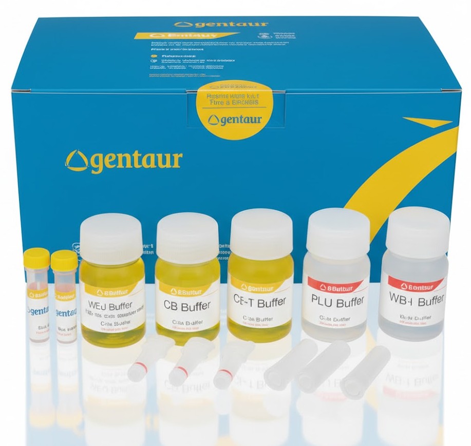 6x DNA Loading Buffer