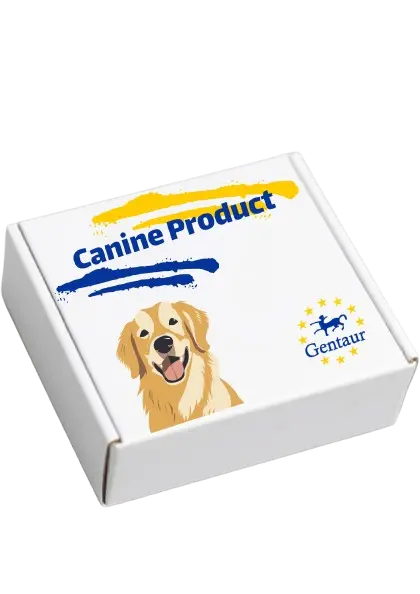 Canine IL-10 Fast ELISA