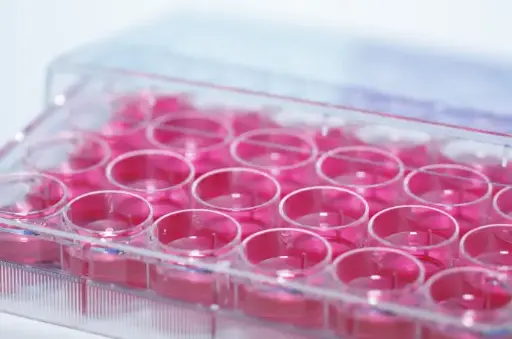 [T34010] Equine Insulin Fast ELISA